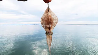 This Bait Caught A Giant Fish!!