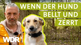 Unruhe an der Leine nach Hundeangriff | Hunde verstehen | S04/E03 | WDR
