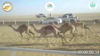 ٢٠/ بكار مفاريد / ١٥٠٠م / العنود / علي مانع دواس