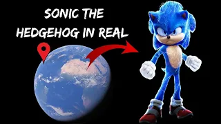 Sonic The Hedgehog In Real on google earth and google maps!