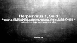 Medical vocabulary: What does Herpesvirus 1, Suid mean