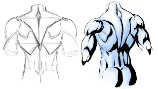 How to Draw and Shadow the Back Muscles