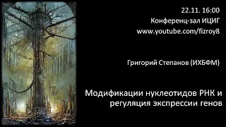 Григорий Степанов (ИХБФМ) "Модификации нуклеотидов РНК и регуляция экспрессии генов"