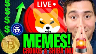 SHIBA INU COIN HOLDING TIL 0.00017!🔴100x CRONOS GAINS!!!