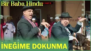 Bir Baba Hindu | İneğime Dokunma