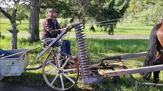 Futtermähen mit Fahr Einspäner Grasmäher und Pferd