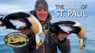 King Eider Hunting St Paul Island Alaska with Four Flyways Outfitters | Full Length Hunt Video