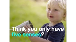 Think you only have five senses?   Wrong   you may have 33