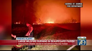 Large wildfire burning in Beauregard Parish