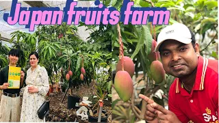 Japan fruits farm . Fruits farm in japan.RKB vlog