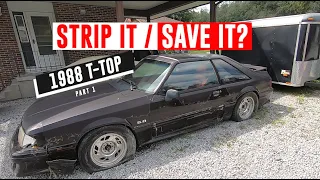 1988 Mustang T-Top: Will I Strip it or Save it? Part 1 - TIPS04E65