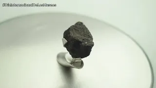 Fragmentos de Meteorito Cali en el Museo de Ciencias Naturales Federico Carlos Lehmann Valencia