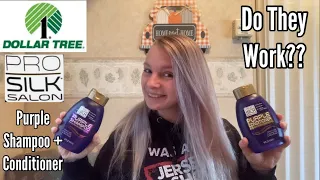 Dollar Tree - Pro Silk Salon Purple Shampoo + Conditioner - Testing + Review