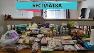 35. БЕСПЛАТКА США // МНОГО МЯСНОГО