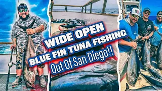 Wide Open Bluefin Tuna Fishing !!! Limits  Out Of San Diego , California