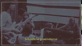 [YES]  Long Distance Runaround/ The Fish (Schindleria praematurus) (sub. español)