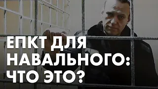 В каких условиях сидит Навальный. Объясняет глава «Руси Сидящей» Ольга Романова