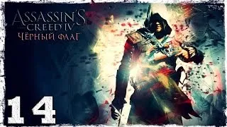 Assassin's Creed IV: Black Flag. Серия 14: Лагерь ассассинов.
