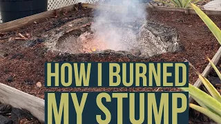 36’’ Stump Removal - Complete Burn 🔥 No gas or oil.