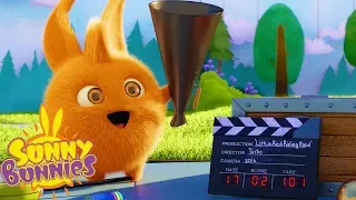 Cartoons for Children | SUNNY BUNNIES - MOVIE SET | Funny Cartoons For Children