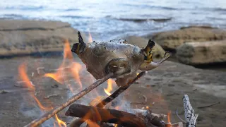 Puffer Fish, Fugu - Most Poisonous Fish In The World - Catch and Cook deadly Fish