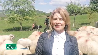 Tânărul care vrea să rămână …cioban!