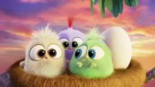 Hatchling's Mother's Day Clip - THE ANGRY BIRDS MOVIE is in cinemas May 12!