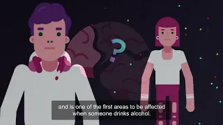 The Journey of Alcohol Through the Body