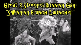 Great 3 Stooges Running Gag: "Swinging Branch Launcher"