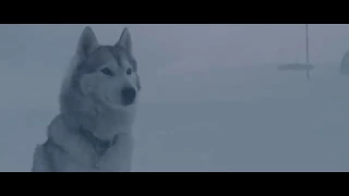 Eight Below Белый плен 2006   Прощание с Майей