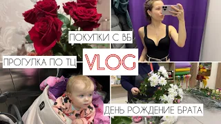 VLOG : ПОКУПКИ С WB 🛍️ | ДЕЛАЕМ ПРИВИВКУ | МНОГО ГУЛЯЕМ 🥰 | МНОГО ЦВЕТОВ НЕ БЫВАЕТ🌷