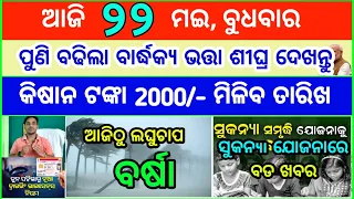 Today's breaking news odisha || Odia News || 22 May 2024 || kalia yojana | heavy rain in odisha