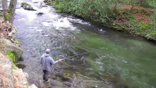 Fly Fishing with Tenkara in the Smoky Mountains