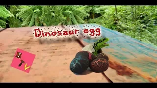 Выращиваем дома динозавров из яиц! Игрушки растут в воде!  Dinosaur Egg -  growing pet magic eggs