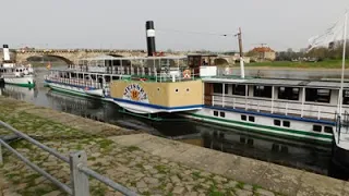 Schlösserfahrt auf der Elbe mit dem Raddampfer "Meissen"