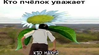 Кт♂ Пчёл♂к Уважает - Gachi Version