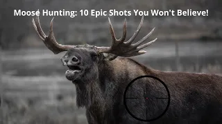 Moose Hunting: 10 Epic Shots You Won't Believe! (Älgjakt)