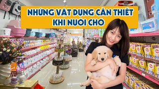 Shop bán đồ cho chó giá rẻ gần đây? Những đồ dùng cần thiết khi nuôi chó? Chomeocanh.com