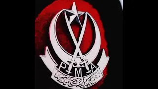 PMA #maintera main tera | New Pak Army Whatsapp Status | #Shorts |