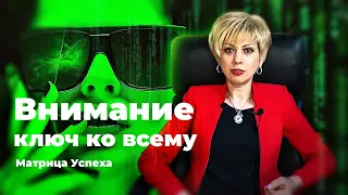 Как научиться управлять вниманием. Как избавиться от негативных мыслей и эмоций.