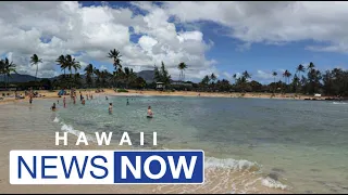 Utah man dies in apparent drowning off Kauai