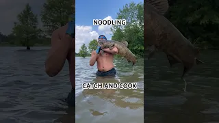 CATFISH NOODLING CATCH AND COOK