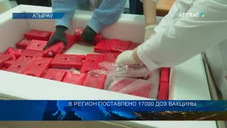 В РЕГИОН ПОСТАВЛЕНО 17000 ДОЗ ВАКЦИНЫ