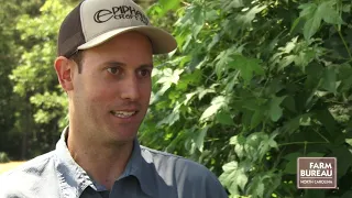 Growing Wheat for Beer