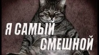 ★●♥●САМЫЕ СМЕШНЫЕ ПРИКОЛЫ С КОТАМИ - 4 (2013 / 2014) HD●♥●★