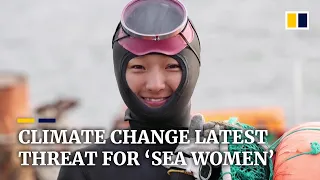 Free-diving ‘sea women’ of South Korea fight climate change threatening their fishing tradition