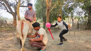 Non-stop Comedy Video 2021 Try To Not Laugh 😂 || By Bindas Fun Masti