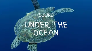 Sounds under the sea/ocean