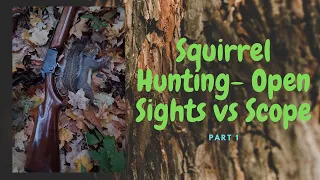 Squirrel Hunting Open Sights vs Scope Part 1