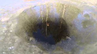 Игра мормышки под водой, видео rybachil.ru
